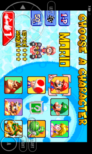 Mario Kart Screenshot