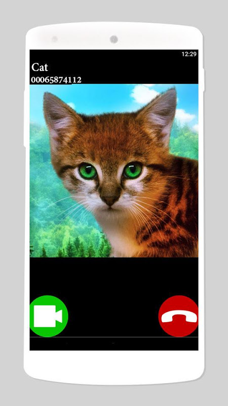 Муха игра для кошек на экране телефона