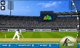 Turbo Cricket Screenshot