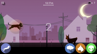 Cat Run screenshot 2