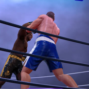 Real Fighting screenshot 1