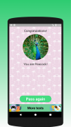 What kind of bird are you? Test screenshot 1