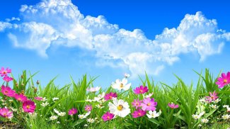 Flower Spring Live Wallpaper screenshot 0