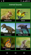 Animal Sounds screenshot 3