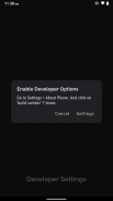 Developer Settings screenshot 5