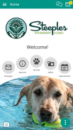Steeples Veterinary screenshot 3