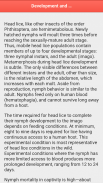 Head Louse screenshot 3