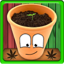 MyWeed - Grow your Cannabis Icon