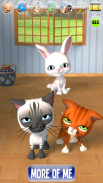 Talking Stars Cat & Dog & Pets screenshot 2