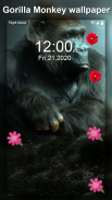 Gorilla Monkey Live Wallpaper screenshot 2