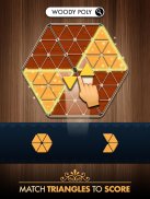 Woody Poly Block Hexa Triangle screenshot 1