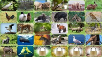 ZOO sounds quiz screenshot 23