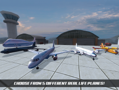 Airplane Alert Extreme Landing screenshot 2