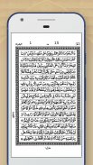 15 Lines Hefz/ Hafezi Quran screenshot 2