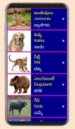 Learn Telugu From Kannada screenshot 11