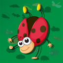 Insects Puzzle for kids