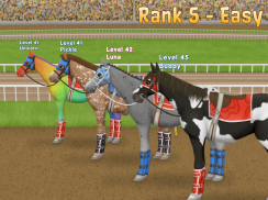 Horse Stable Tycoon screenshot 22