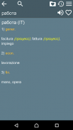 Russian Italian Dictionary screenshot 6