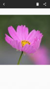 DSLR Camera - Blur Background screenshot 5