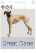 Dog Breeds | Golden Retriever | Rottweiler screenshot 3
