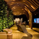 Wood ceiling design Icon