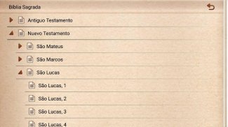 Bíblia Católica Ave Maria screenshot 2