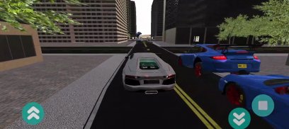 Crazy Traffic screenshot 5