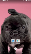 Puppy Shake Live Wallpaper screenshot 5