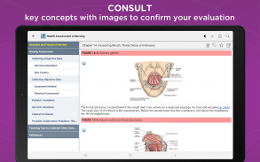 Nurses' Health Assessment screenshot 1