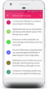 Kidney Pain Symptoms and Treat screenshot 2