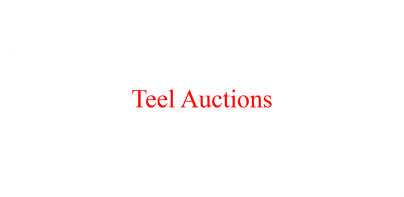 Teel Auctions Online Bidding