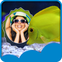 quadros de peixes Photo - Baixar APK para Android | Aptoide