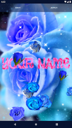 Blue Rose Live Wallpaper 3D screenshot 9