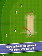 New Star: Cricket screenshot 2