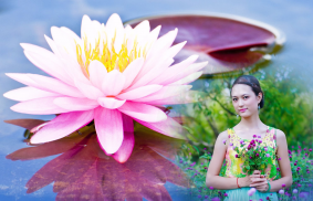 Lotus Photo Frame screenshot 4