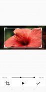 Video Editor: Cutter, Merge, Mute Audio, Filters screenshot 2