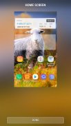 Sheep - RINGTONES and WALLPAPERS screenshot 4