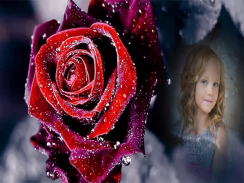 Rose Photo Frames screenshot 0