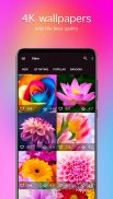 Flower Wallpapers 4K screenshot 4