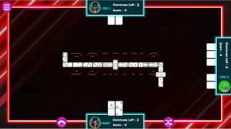 Fury Riddle Domino screenshot 0