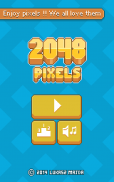 2048 Pixels screenshot 0