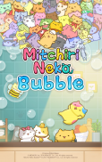 MitchiriNeko Bubble~Pop & Blast puzzle~ screenshot 11