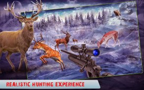 Wild Animal Hunter screenshot 6