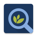 Family Tree Maker Connect Icon