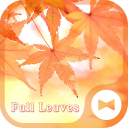 Fall Leaves Autumn Theme