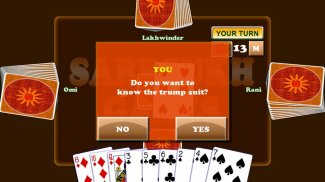 Card Game Coat - Hide Trump screenshot 12