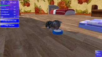 Cute Pocket Cat 3D screenshot 3