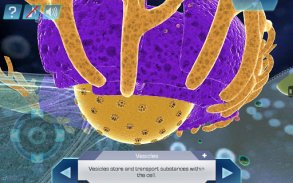 Cell World screenshot 7