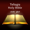 Bible in Telugu: పవిత్ర బైబిల్