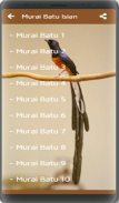 Kicau Burung Murai Batu screenshot 1